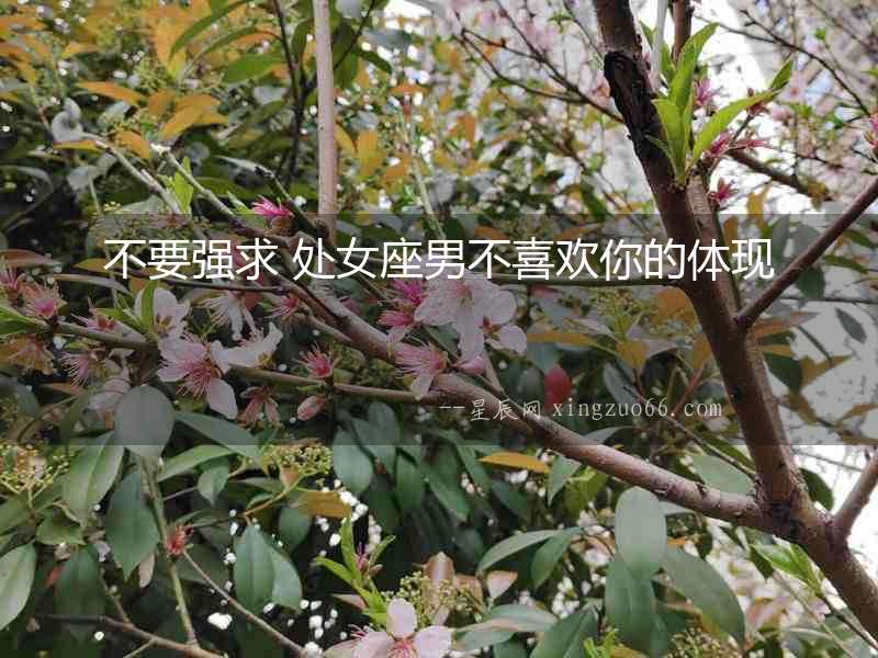 不要強求 處女座男不喜歡你的體現