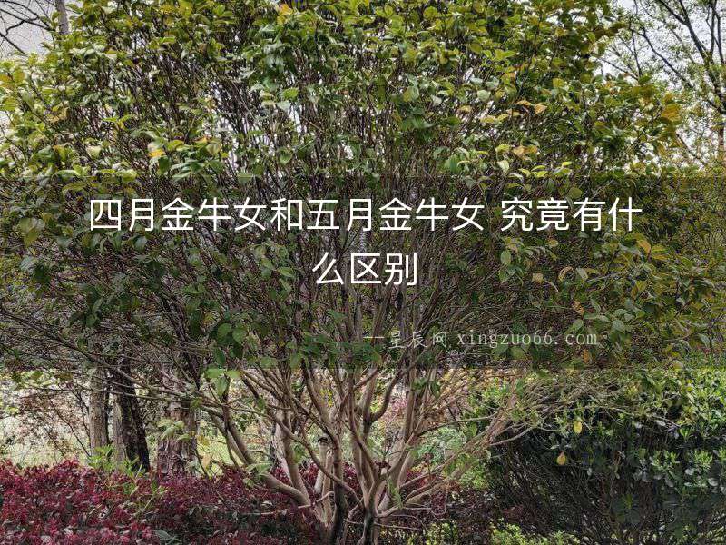 四月金牛女和五月金牛女 究竟有什么區(qū)別