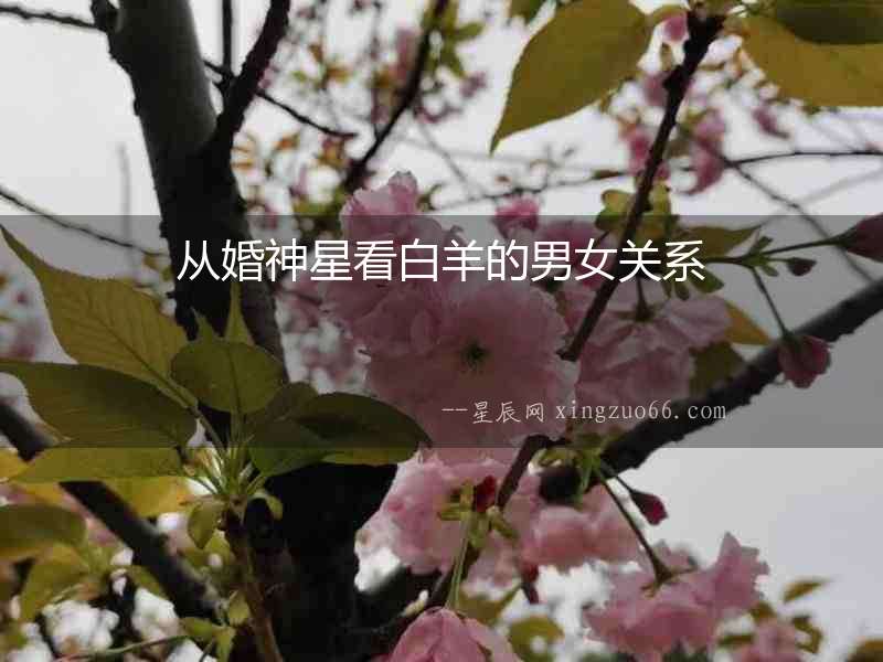 從婚神星看白羊的男女關系
