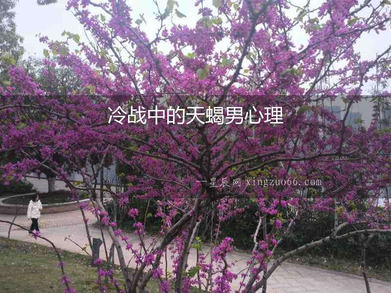 冷戰(zhàn)中的天蝎男心理