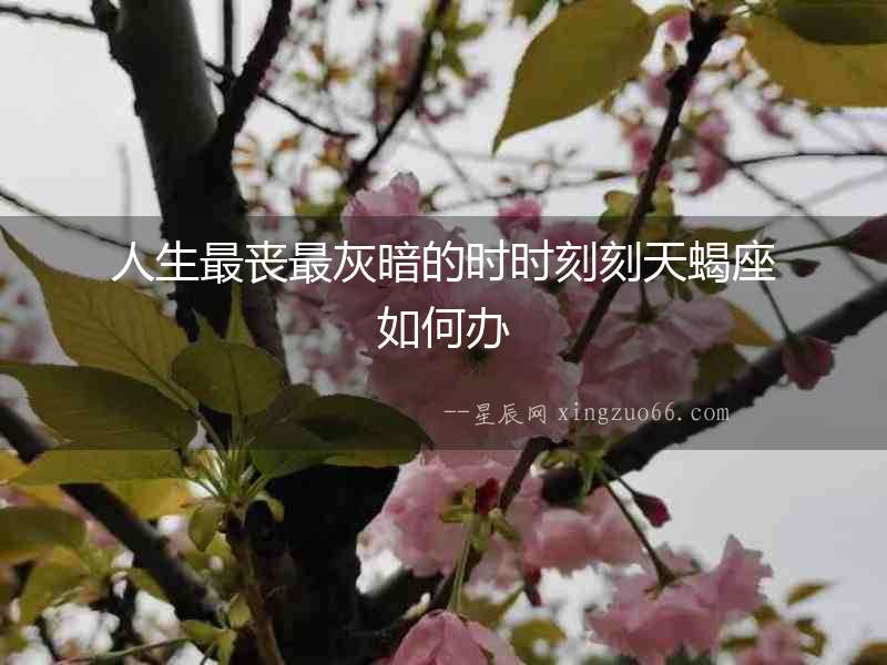 人生最喪最灰暗的時(shí)時(shí)刻刻天蝎座如何辦