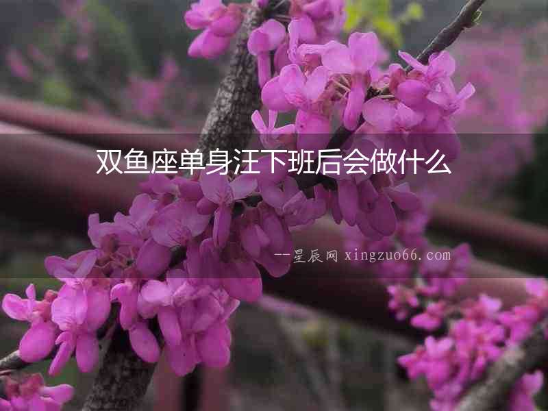 雙魚座單身汪下班后會(huì)做什么
