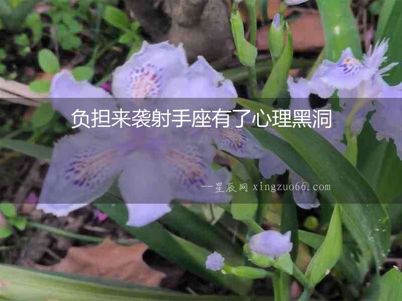 負(fù)擔(dān)來襲射手座有了心理黑洞