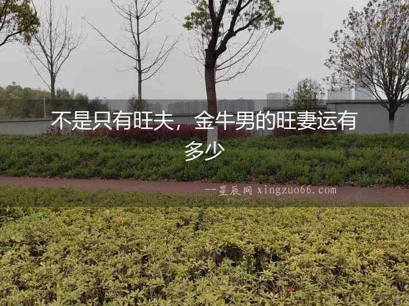 不是只有旺夫，金牛男的旺妻運有多少