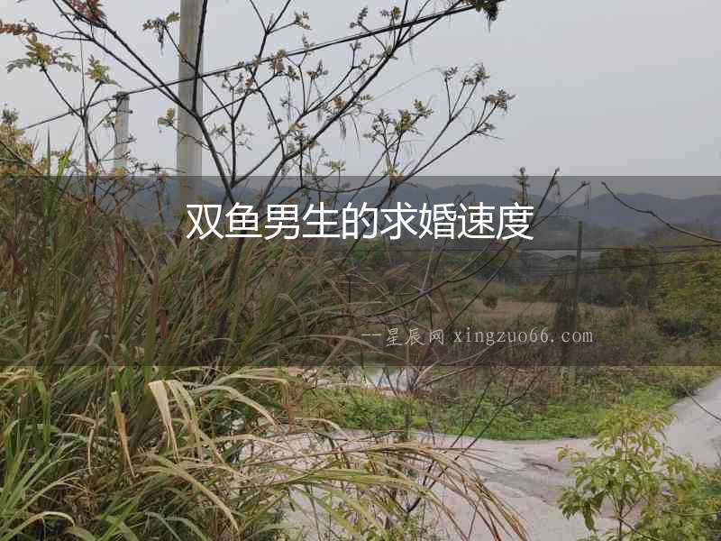 雙魚男生的求婚速度