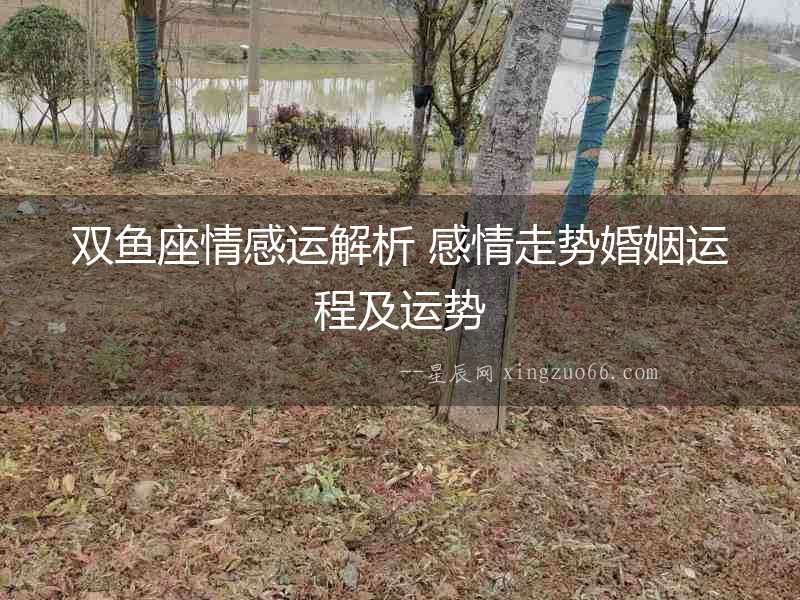 雙魚座情感運解析 感情走勢婚姻運程及運勢