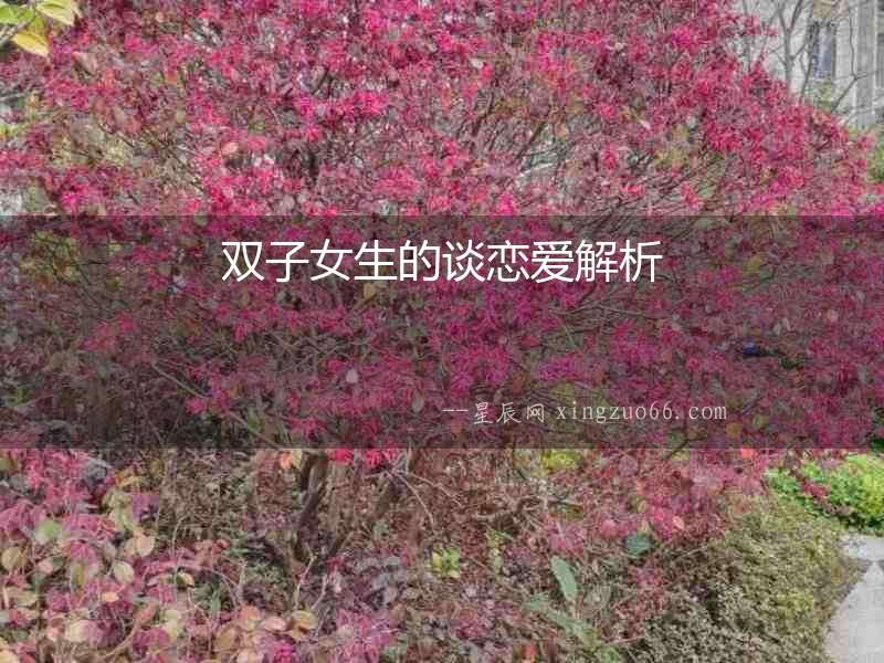 雙子女生的談戀愛解析