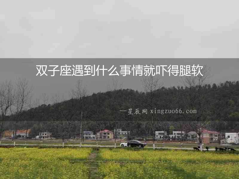 雙子座遇到什么事情就嚇得腿軟