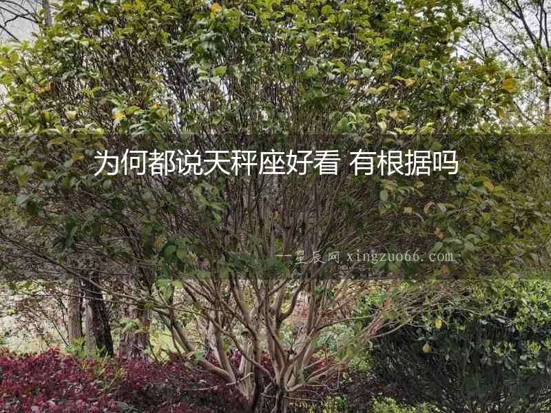 為何都說天秤座好看 有根據嗎