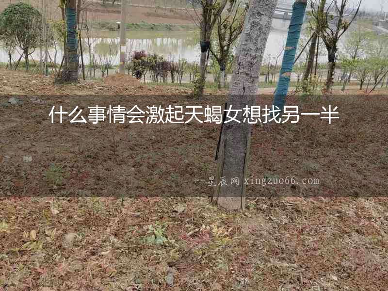 什么事情會(huì)激起天蝎女想找另一半
