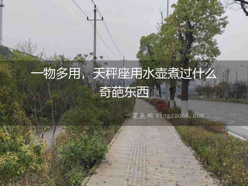 一物多用，天秤座用水壺煮過什么奇葩東西