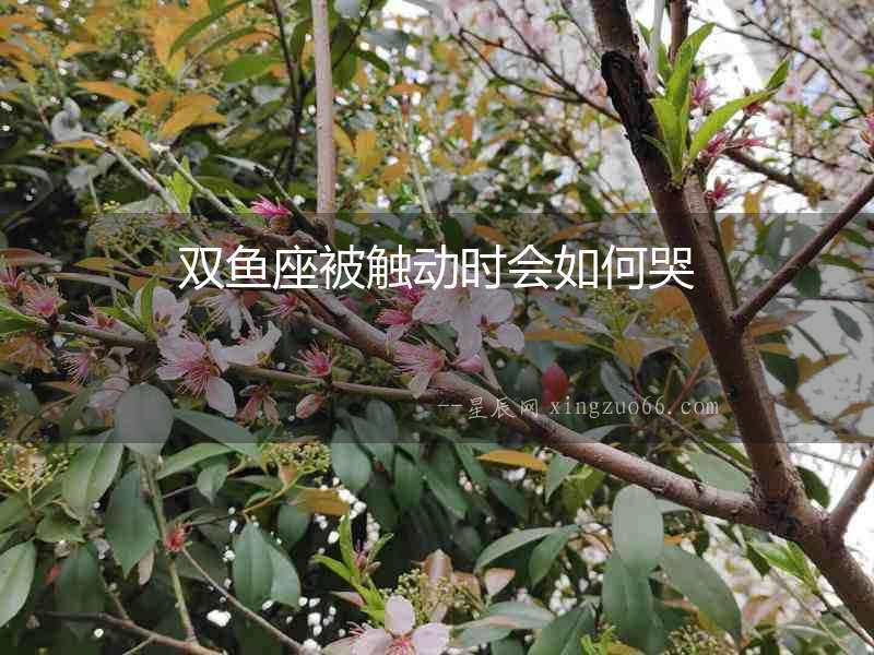雙魚(yú)座被觸動(dòng)時(shí)會(huì)如何哭