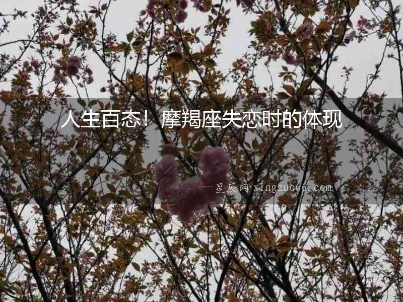 人生百態(tài)！摩羯座失戀時(shí)的體現(xiàn)