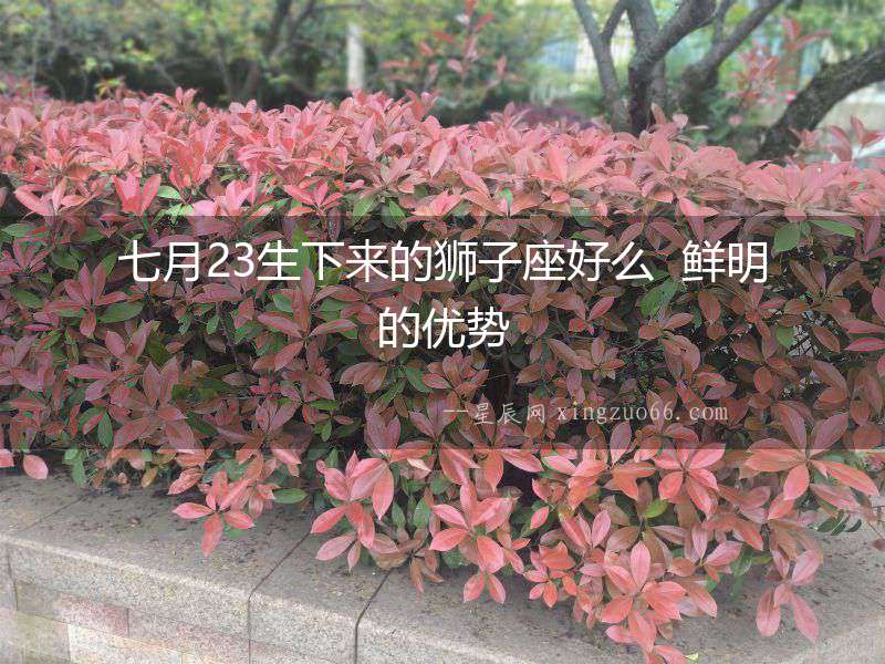 七月23生下來的獅子座好么  鮮明的優勢
