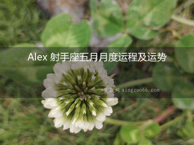Alex 射手座五月月度運(yùn)程及運(yùn)勢(shì)