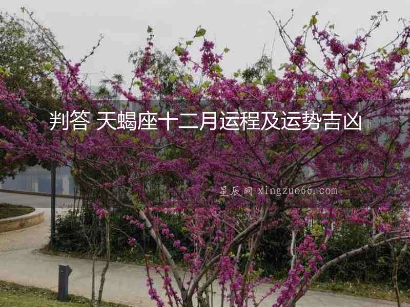 判答 天蝎座十二月運程及運勢吉兇