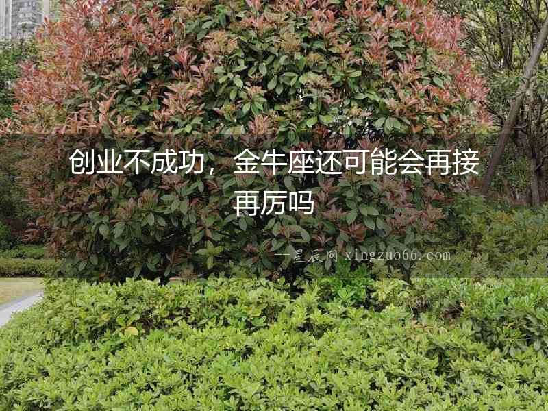 創業不成功，金牛座還可能會再接再厲嗎