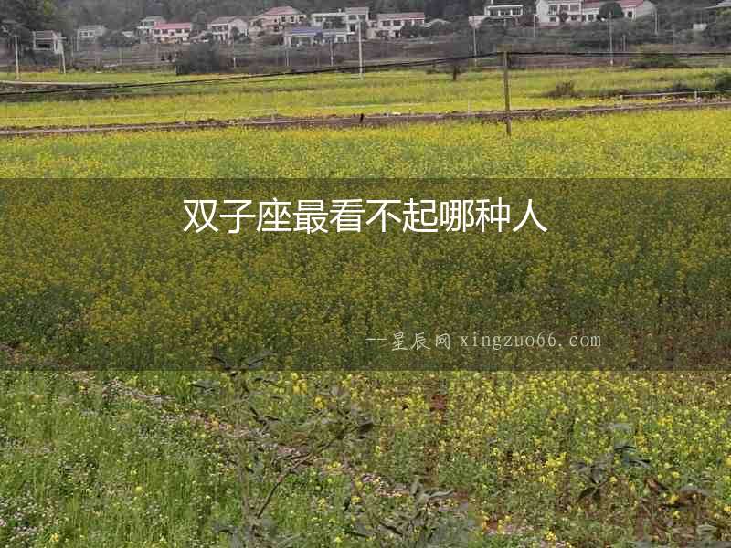 雙子座最看不起哪種人