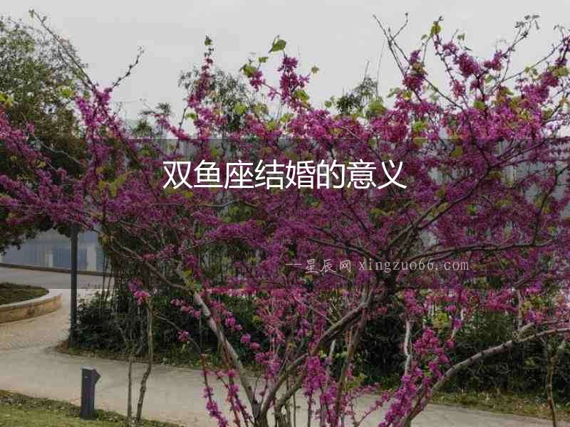 雙魚座結婚的意義