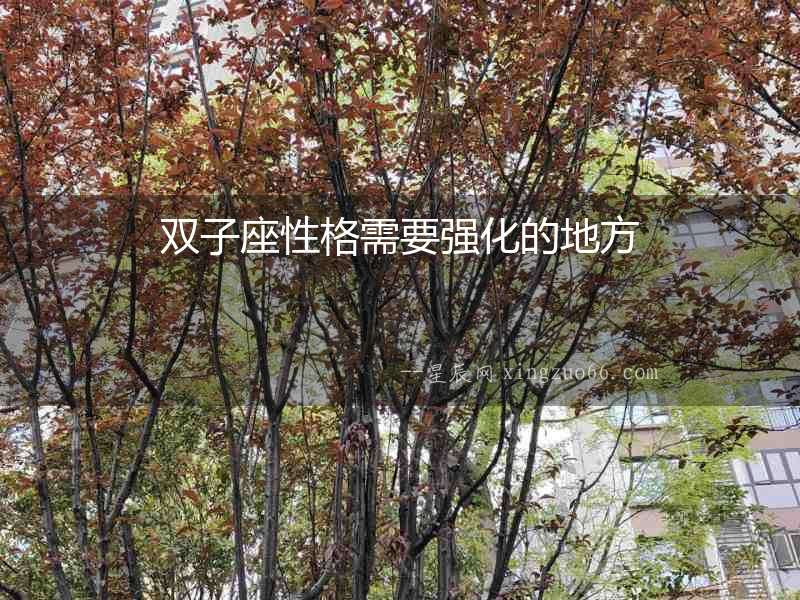 雙子座性格需要強(qiáng)化的地方