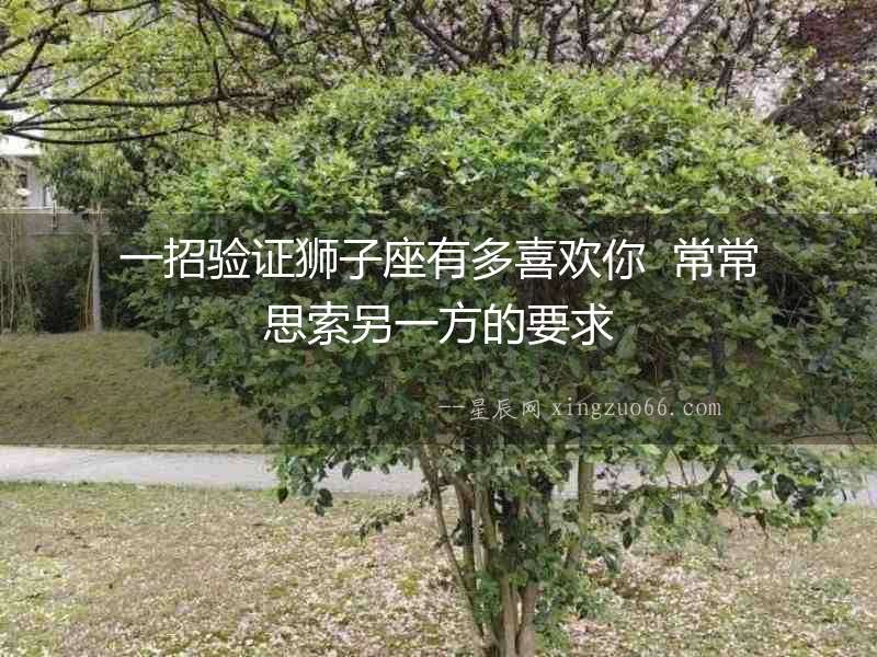 一招驗證獅子座有多喜歡你  常常思索另一方的要求