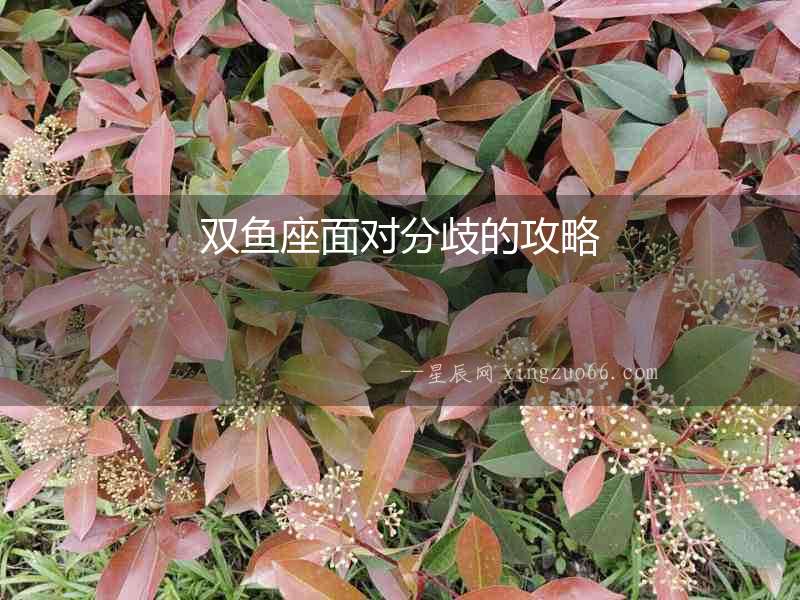 雙魚座面對分歧的攻略