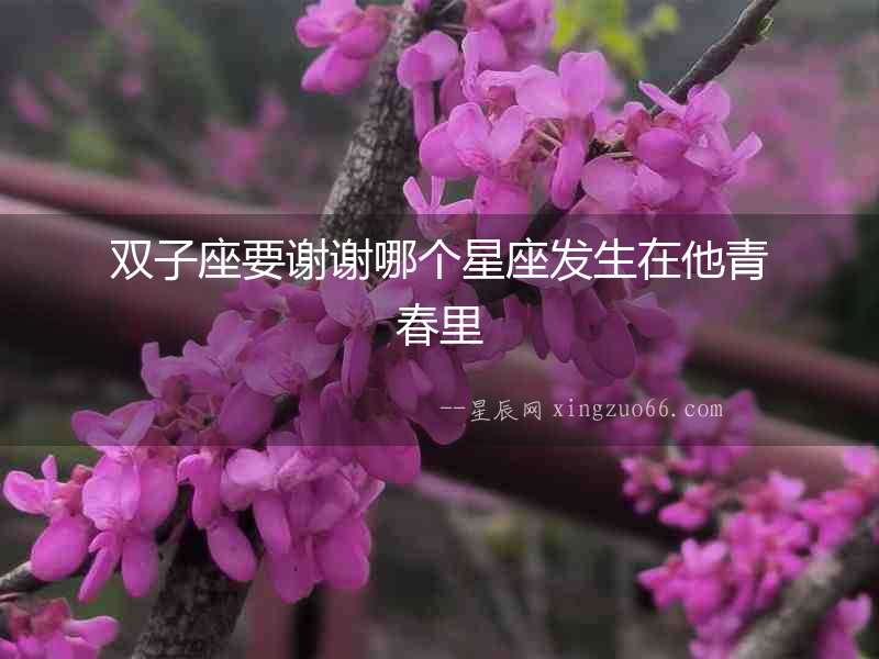 雙子座要謝謝哪個星座發(fā)生在他青春里