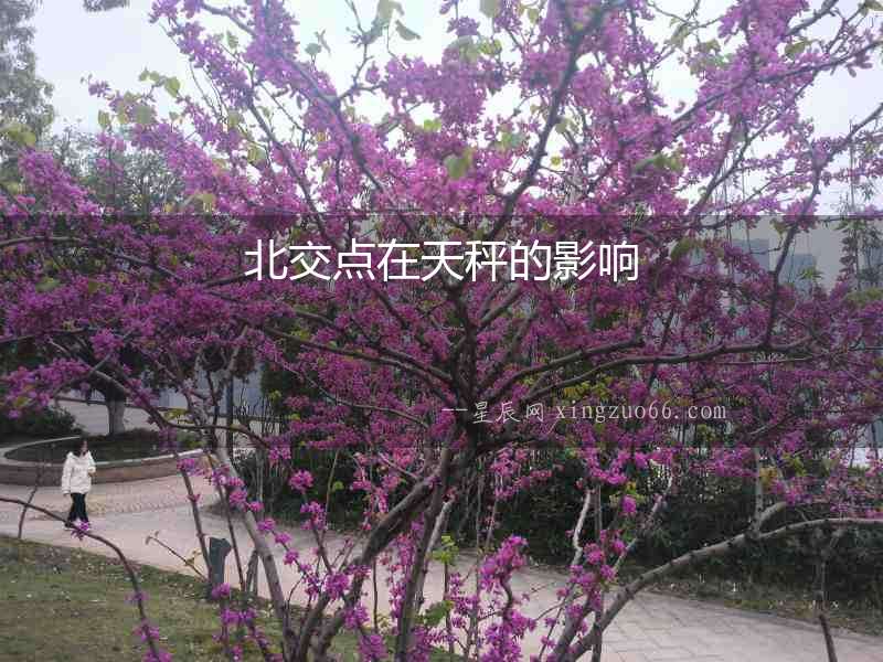 北交點(diǎn)在天秤的影響