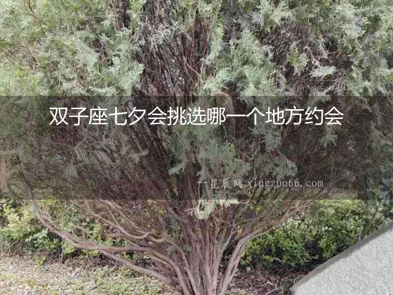 雙子座七夕會(huì)挑選哪一個(gè)地方約會(huì)