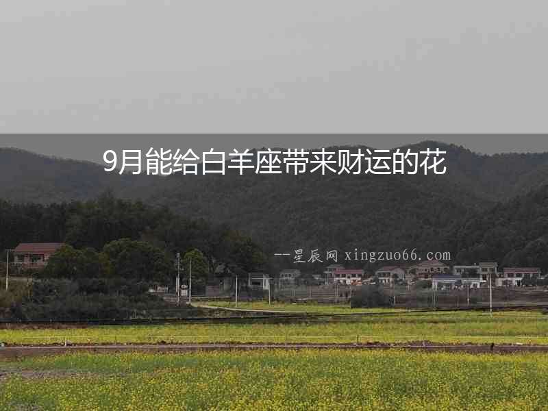 9月能給白羊座帶來(lái)財(cái)運(yùn)的花