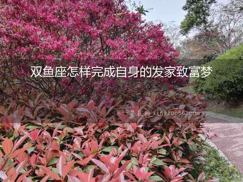 雙魚座怎樣完成自身的發家致富夢