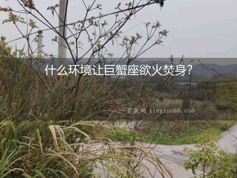 什么環境讓巨蟹座欲火焚身？