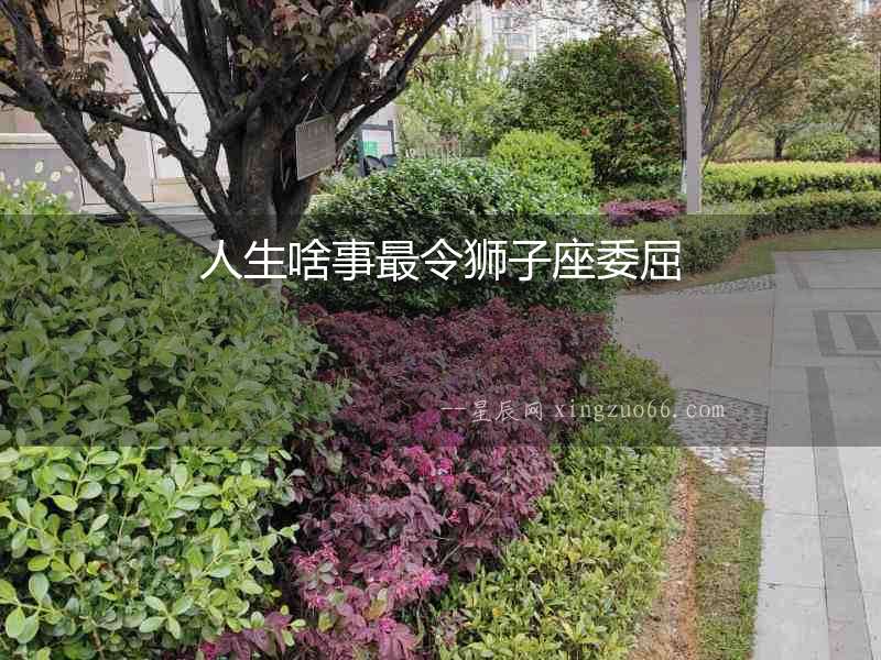 人生啥事最令獅子座委屈