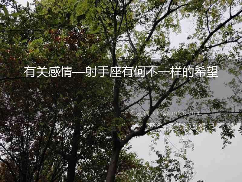 有關(guān)感情—射手座有何不一樣的希望