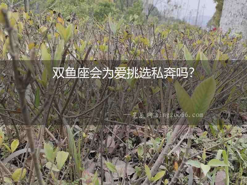 雙魚座會為愛挑選私奔嗎？