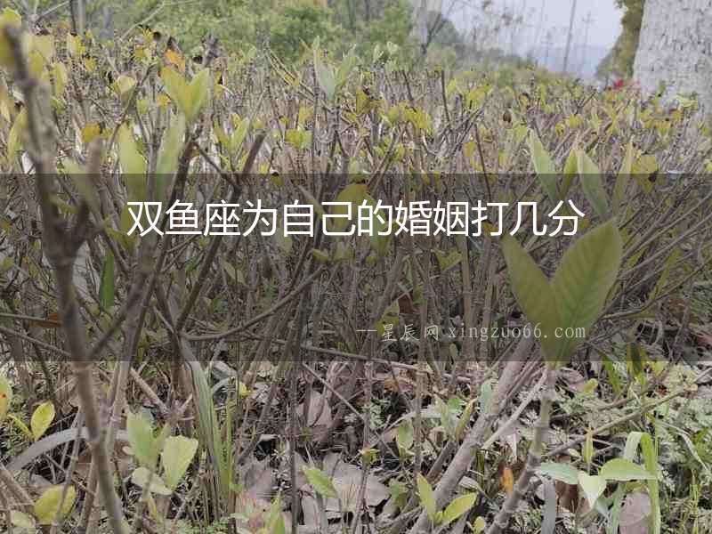 雙魚座為自己的婚姻打幾分