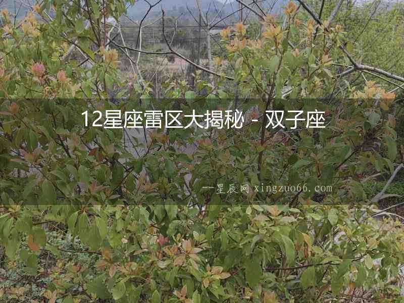 12星座雷區大揭秘 - 雙子座