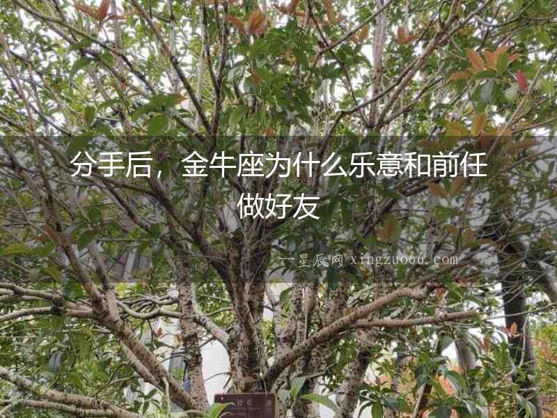 分手后，金牛座為什么樂意和前任做好友