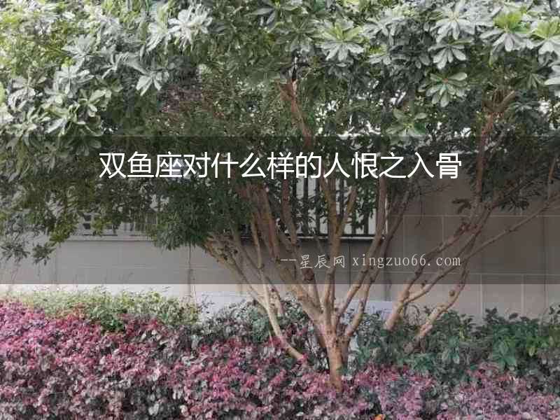 雙魚座對什么樣的人恨之入骨