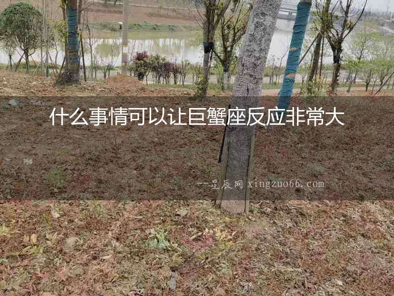 什么事情可以讓巨蟹座反應非常大