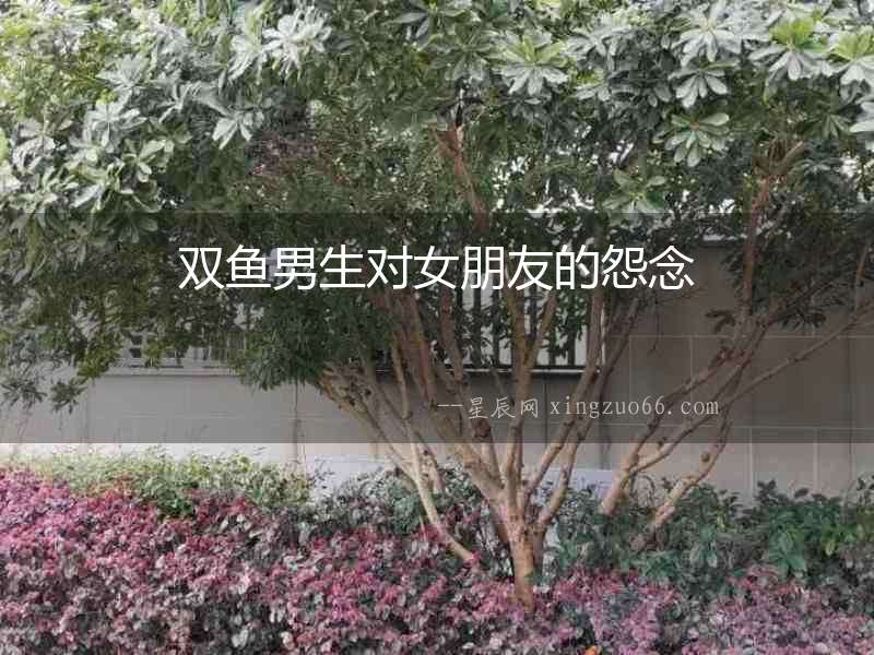 雙魚男生對女朋友的怨念