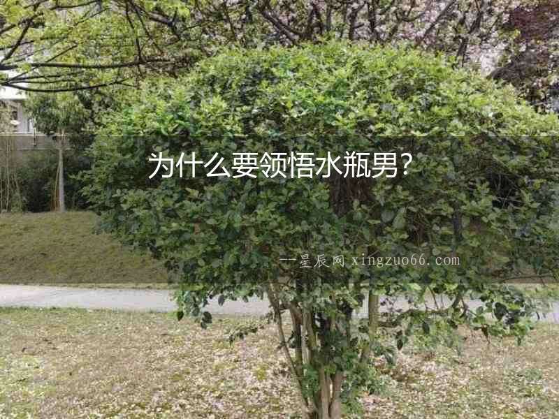 為什么要領悟水瓶男？