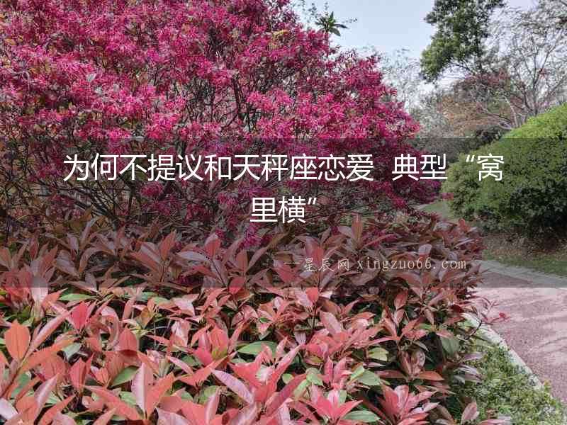 為何不提議和天秤座戀愛  典型“窩里橫”