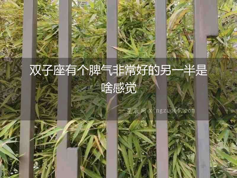 雙子座有個(gè)脾氣非常好的另一半是啥感覺(jué)