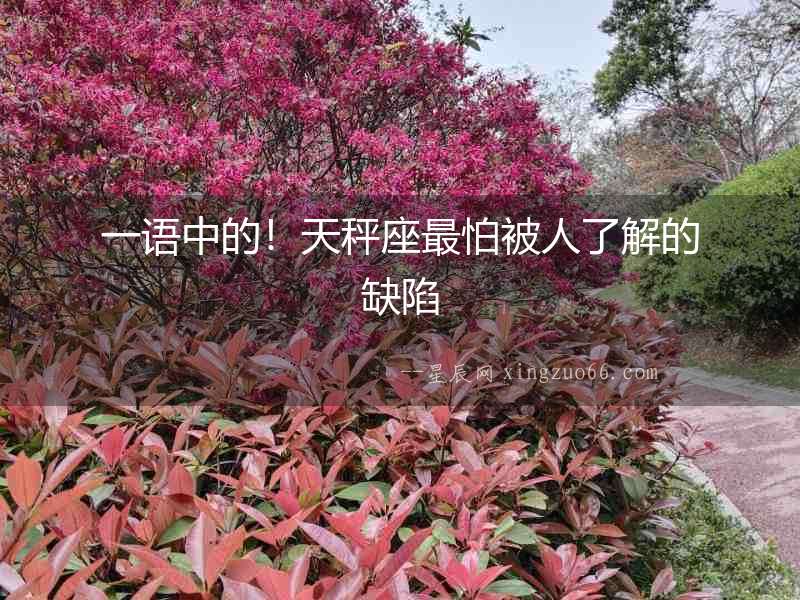 一語中的！天秤座最怕被人了解的缺陷