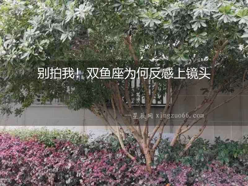 別拍我！雙魚座為何反感上鏡頭