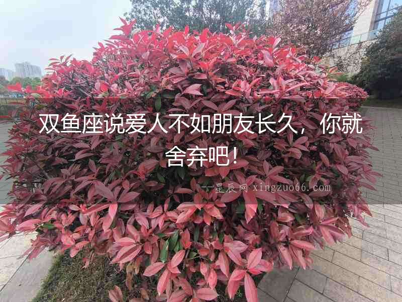 雙魚座說愛人不如朋友長久，你就舍棄吧！