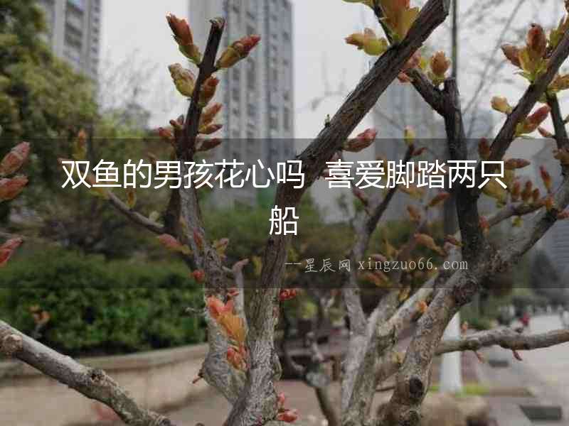 雙魚的男孩花心嗎  喜愛腳踏兩只船