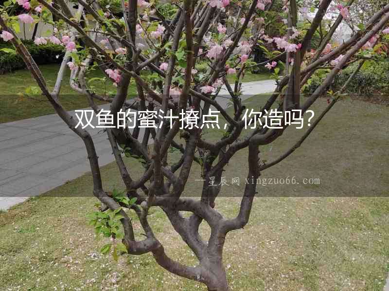 雙魚的蜜汁撩點(diǎn)，你造嗎？