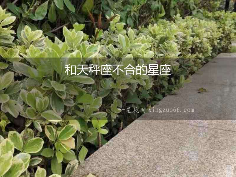 和天秤座不合的星座